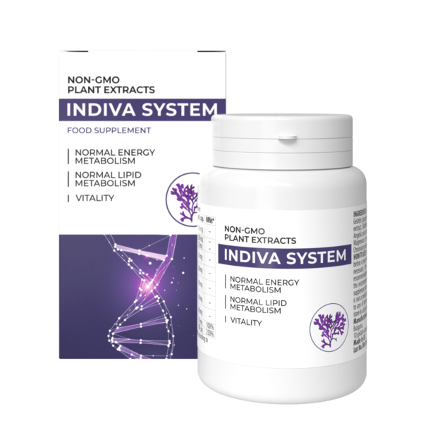 InDiva System